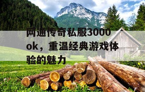 网通传奇私服3000ok，重温经典游戏体验的魅力