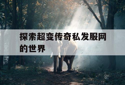 探索超变传奇私发服网的世界