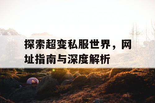 探索超变私服世界，网址指南与深度解析