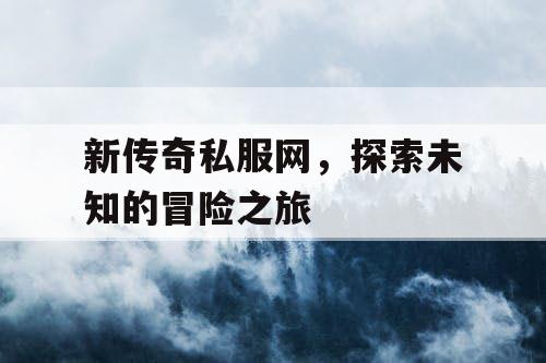 新传奇私服网，探索未知的冒险之旅