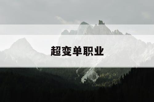 超变单职业
