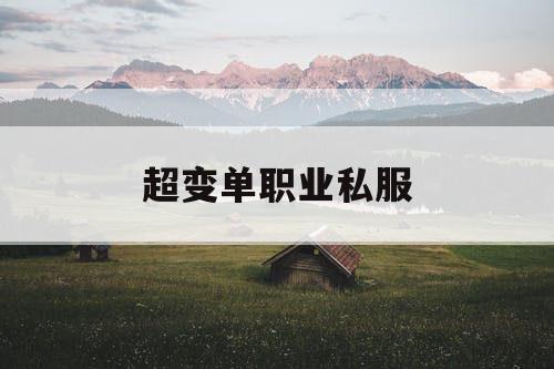 超变单职业私服