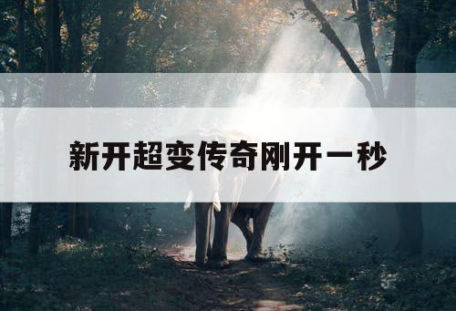 新开超变传奇刚开一秒