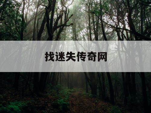 找迷失传奇网