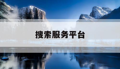 搜索服务平台