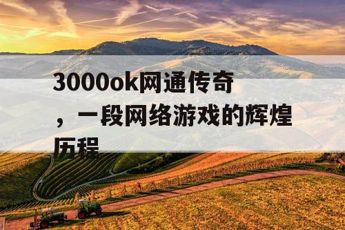 3000ok网通传奇，一段网络游戏的辉煌历程