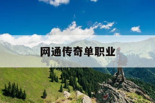 网通传奇单职业