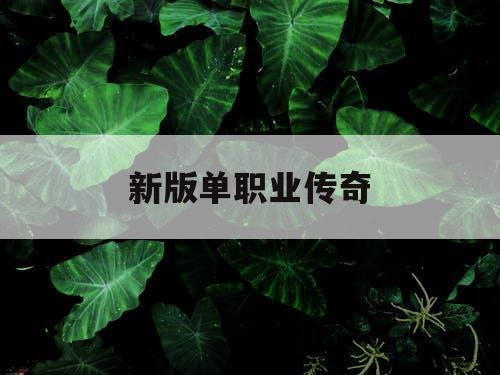 新版单职业传奇