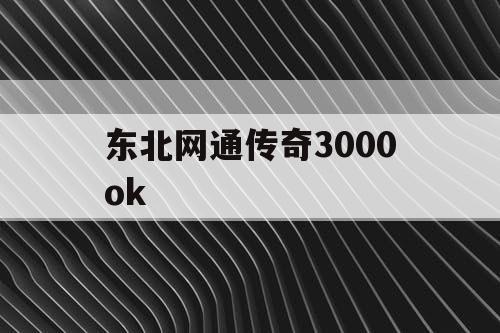 东北网通传奇3000ok