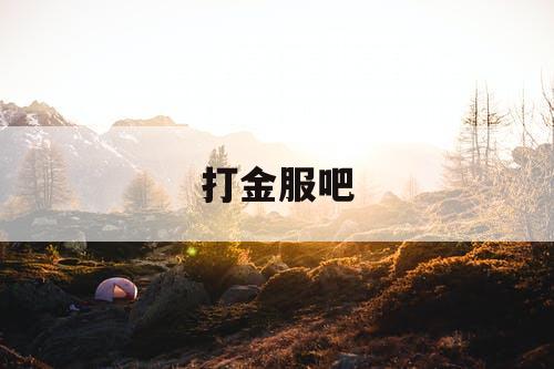 打金服吧