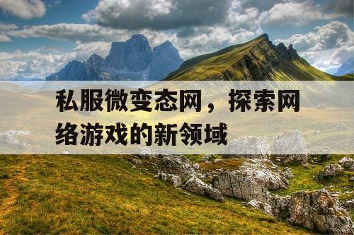 私服微变态网，探索网络游戏的新领域