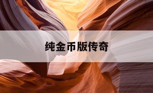 纯金币版传奇