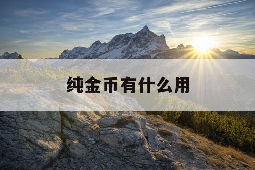 纯金币有什么用