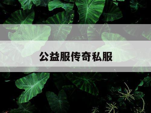 公益服传奇私服