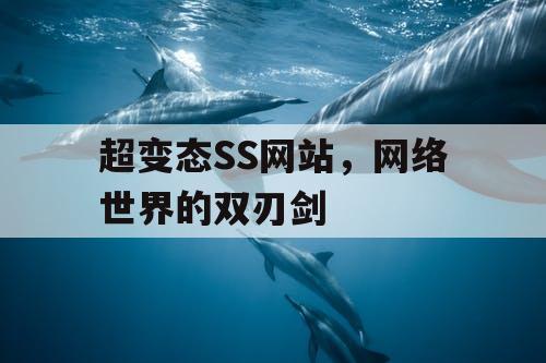 超变态SS网站，网络世界的双刃剑