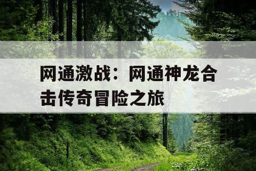 网通激战：网通神龙合击传奇冒险之旅