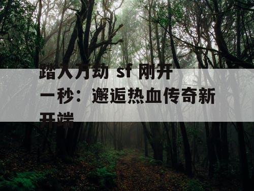 踏入万劫 sf 刚开一秒：邂逅热血传奇新开端