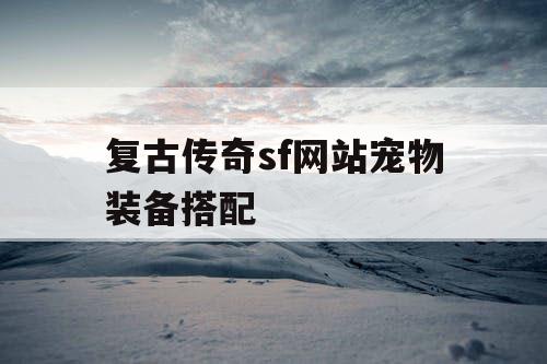复古传奇sf网站宠物装备搭配