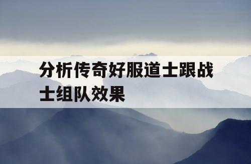 分析传奇好服道士跟战士组队效果