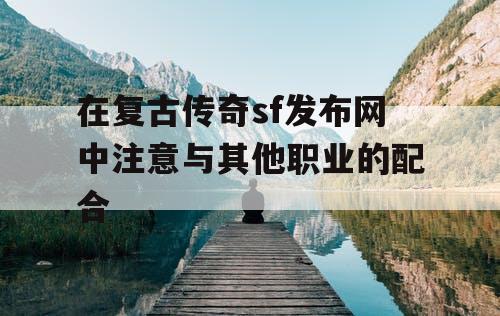 在复古传奇sf发布网中注意与其他职业的配合