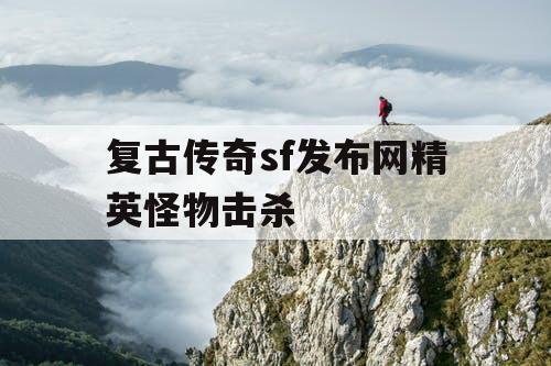 复古传奇sf发布网精英怪物击杀