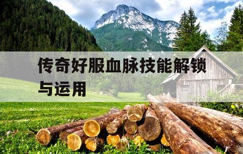 传奇好服血脉技能解锁与运用
