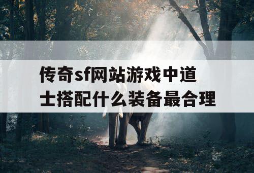 传奇sf网站游戏中道士搭配什么装备最合理