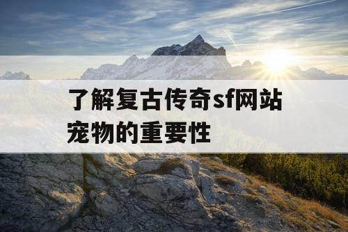 了解复古传奇sf网站宠物的重要性