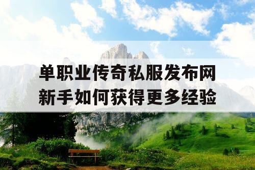 单职业传奇私服发布网新手如何获得更多经验