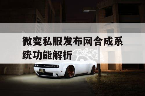 微变私服发布网合成系统功能解析