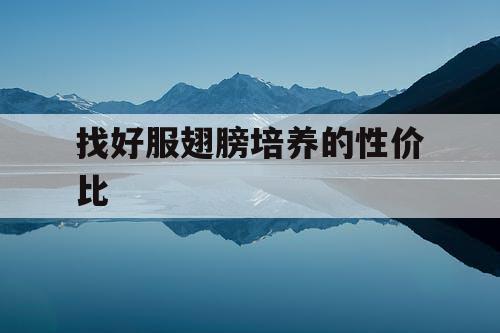找好服翅膀培养的性价比