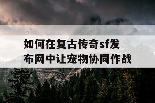 如何在复古传奇sf发布网中让宠物协同作战