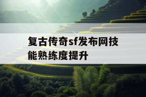 复古传奇sf发布网技能熟练度提升