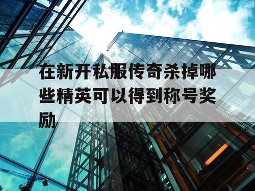 在新开私服传奇杀掉哪些精英可以得到称号奖励