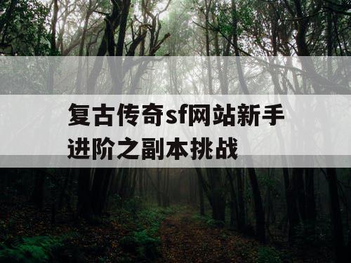 复古传奇sf网站新手进阶之副本挑战