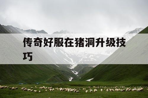传奇好服在猪洞升级技巧
