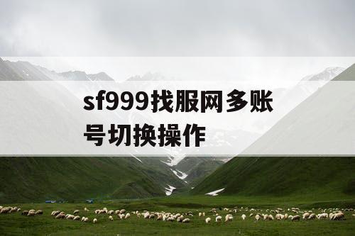 sf999找服网多账号切换操作