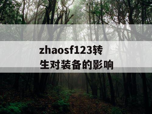 zhaosf123转生对装备的影响