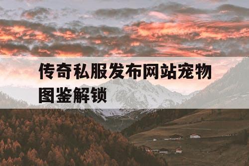 传奇私服发布网站宠物图鉴解锁
