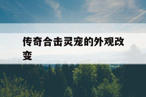 传奇合击灵宠的外观改变