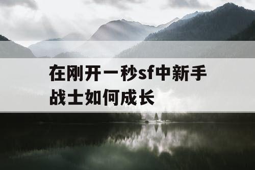 在刚开一秒sf中新手战士如何成长