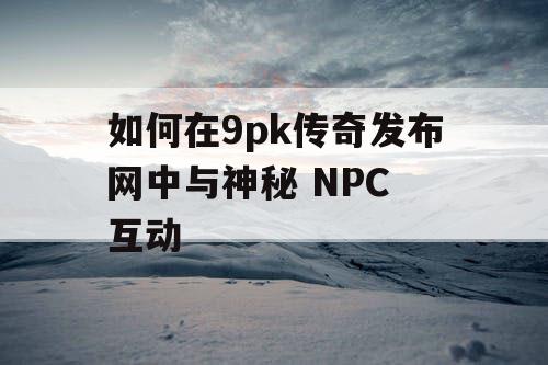 如何在9pk传奇发布网中与神秘 NPC 互动