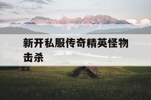 新开私服传奇精英怪物击杀