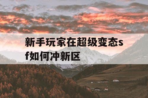 新手玩家在超级变态sf如何冲新区