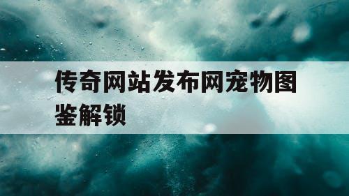 传奇网站发布网宠物图鉴解锁