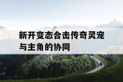 新开变态合击传奇灵宠与主角的协同