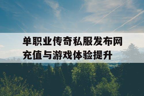 单职业传奇私服发布网充值与游戏体验提升