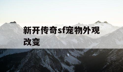 新开传奇sf宠物外观改变