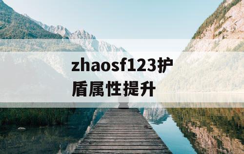 zhaosf123护盾属性提升