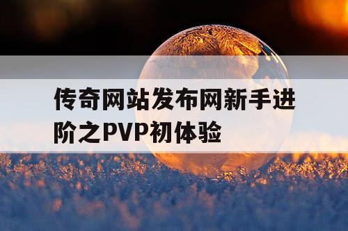 传奇网站发布网新手进阶之PVP初体验